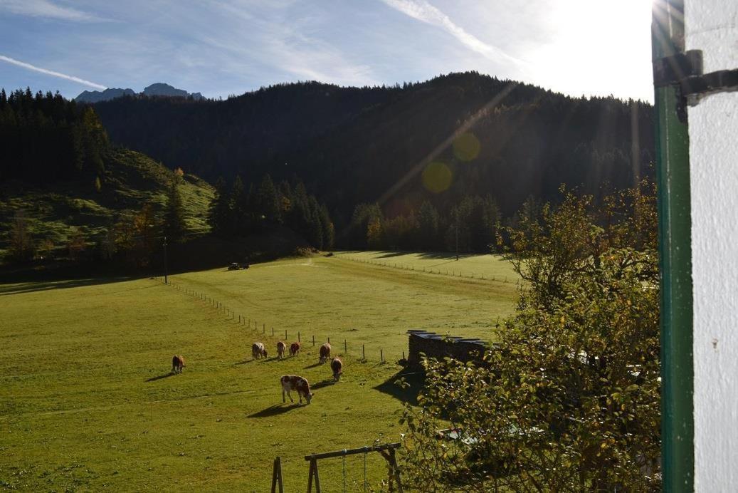 Ferienwohnungen Foidlhof Hochfilzen Exteriör bild
