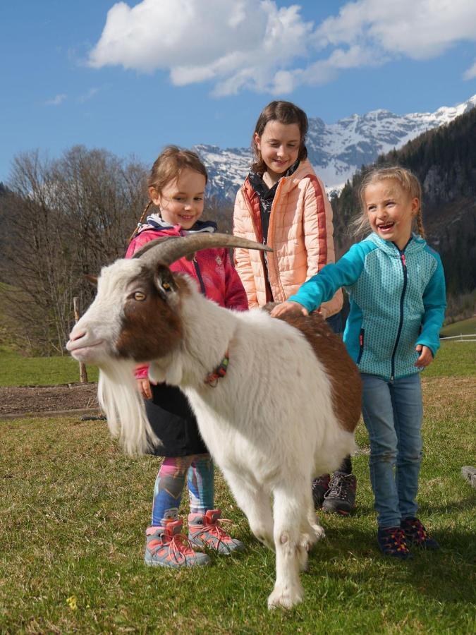Ferienwohnungen Foidlhof Hochfilzen Exteriör bild