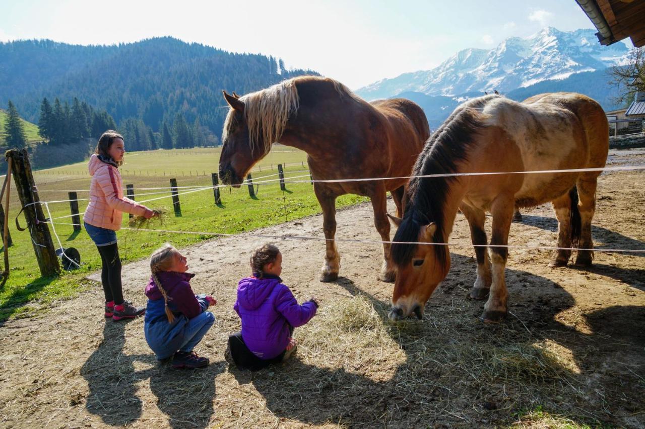 Ferienwohnungen Foidlhof Hochfilzen Exteriör bild