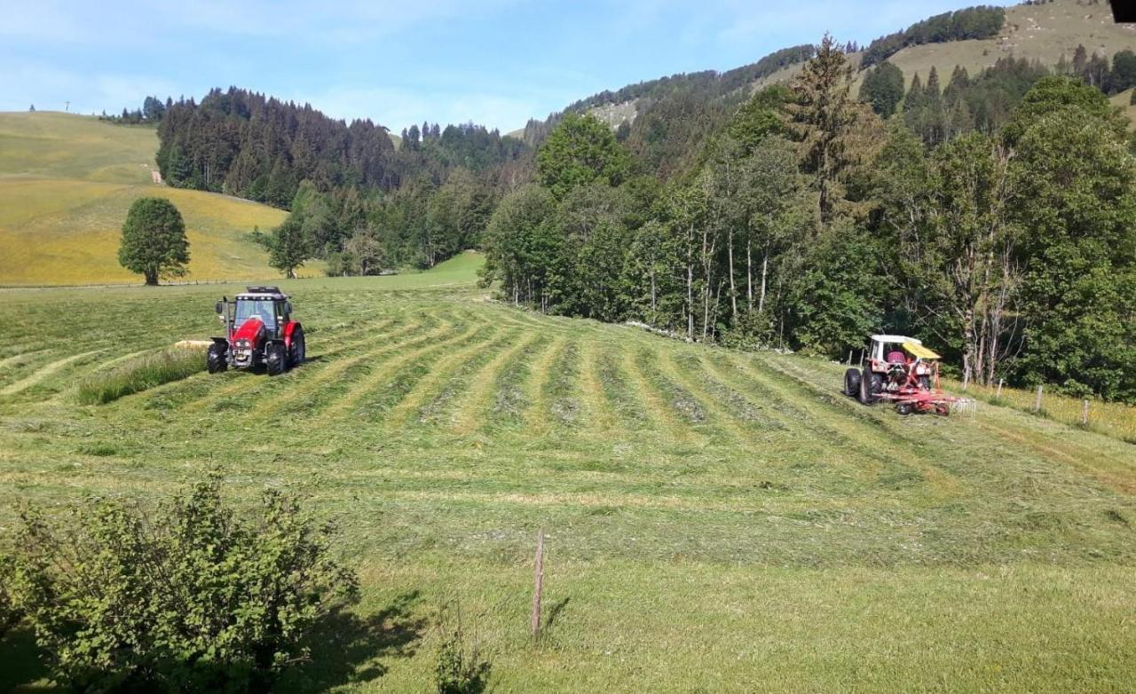 Ferienwohnungen Foidlhof Hochfilzen Exteriör bild