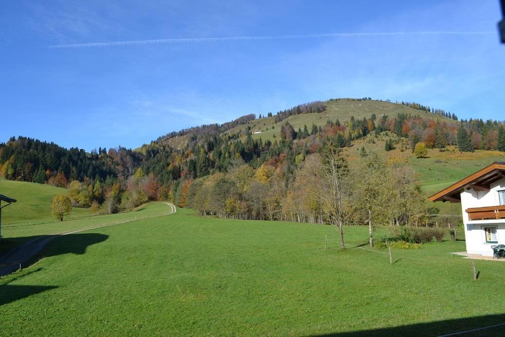 Ferienwohnungen Foidlhof Hochfilzen Exteriör bild